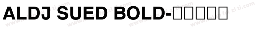 ALDI SUED BOLD字体转换